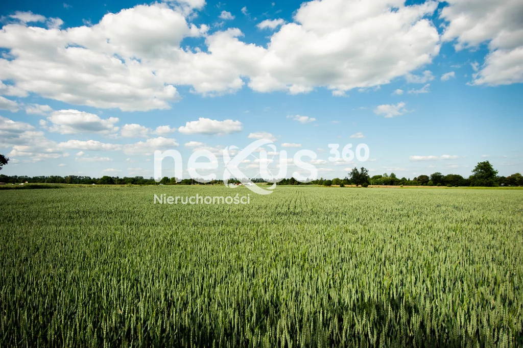 Działka 14 255,00 m², oferta nr , 18/17137/OGS, Świerzna