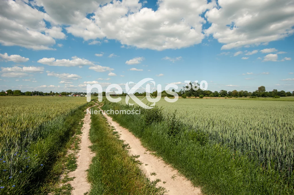Działka 14 255,00 m², oferta nr , 18/17137/OGS, Świerzna
