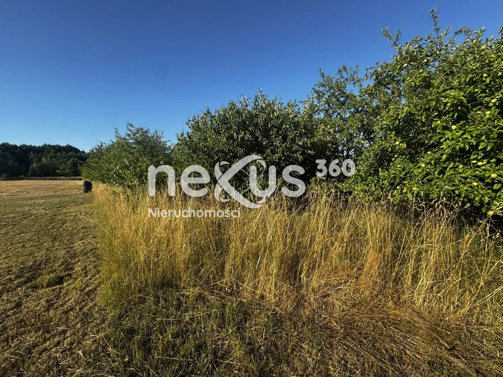 Działka 3 389,00 m², oferta nr , 43/17137/OGS, Wrocław, Lipa Piotrowska