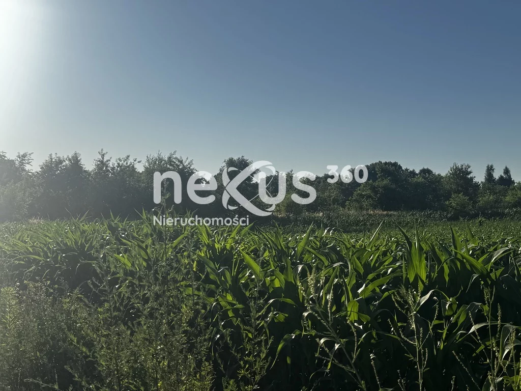Działka 3 389,00 m², oferta nr , 43/17137/OGS, Wrocław, Lipa Piotrowska