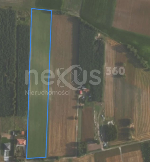 Działka 18 666,53 m², oferta nr , 56/17137/OGS, Zbytowa