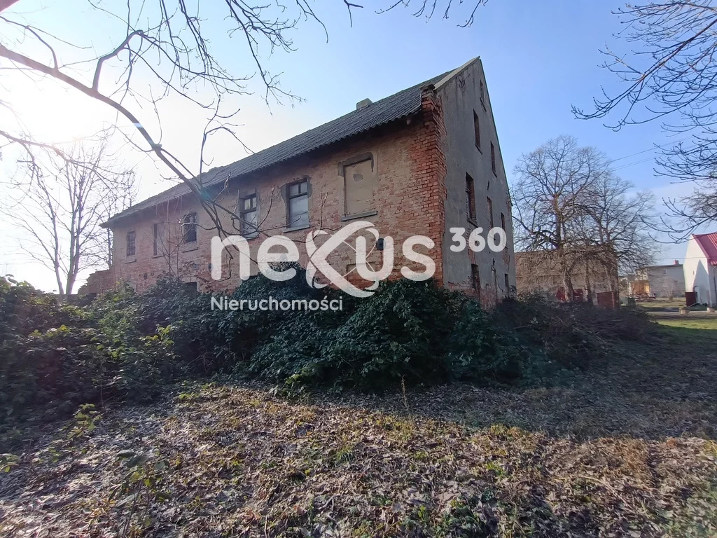 Lokal użytkowy 1 230,00 m², oferta nr , 5/17137/OOS, Dąbrowa