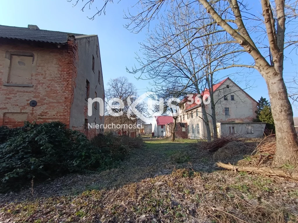Lokal użytkowy 1 230,00 m², oferta nr , 5/17137/OOS, Dąbrowa