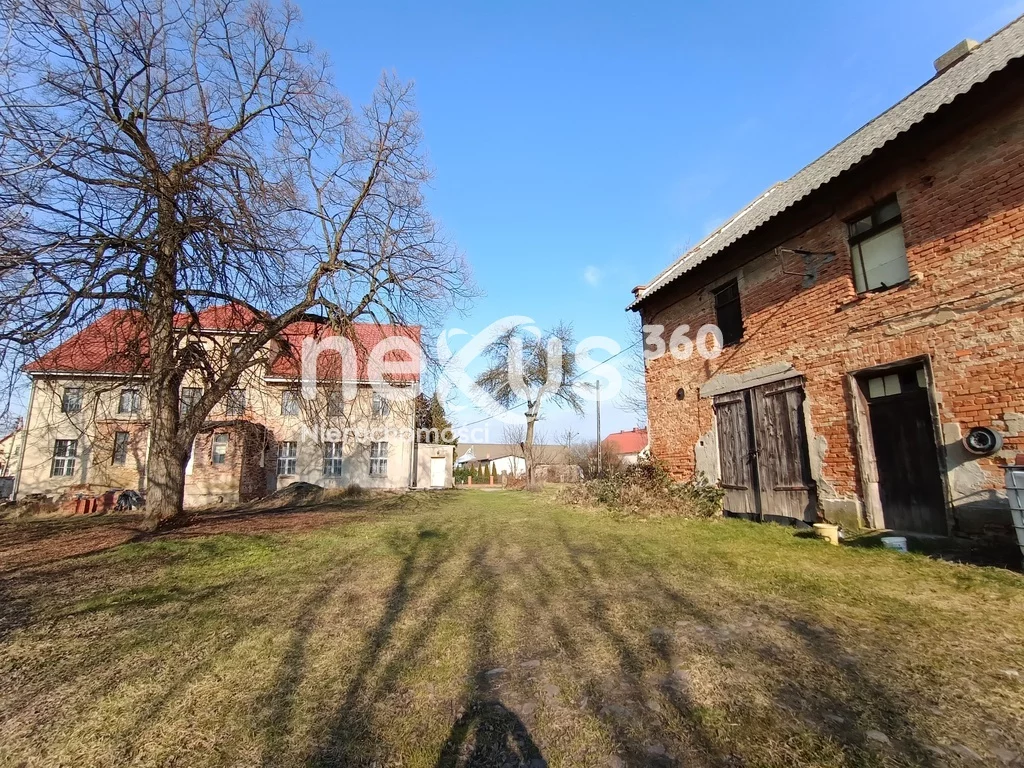 Lokal użytkowy 1 230,00 m², oferta nr , 5/17137/OOS, Dąbrowa