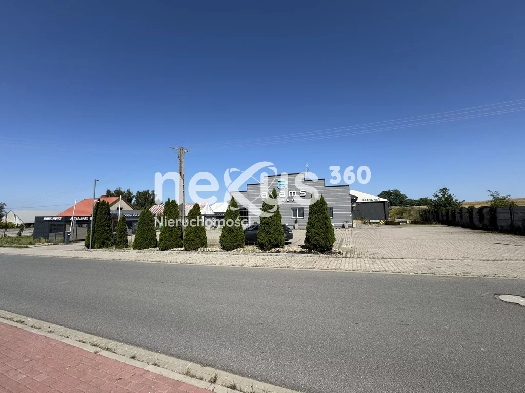 Magazyn 2 514,75 m², oferta nr , 9/17137/OOS, Ligota