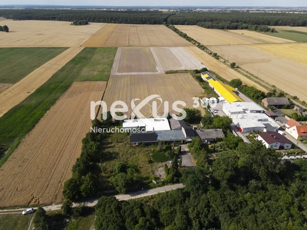 Magazyn 837,00 m², oferta nr , 3/17137/OOS, Zawidowice