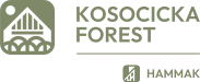 Kosocicka Forest