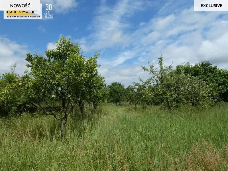 Dom 67,00 m², oferta nr , 1835/7376/ODS, Tarnowo