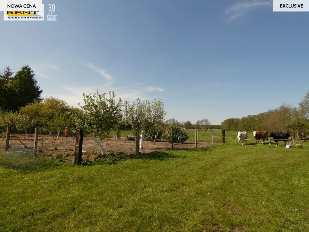 Dom 238,00 m², oferta nr , 1826/7376/ODS, Budzieszewice