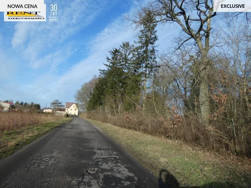 Dom 238,00 m², oferta nr , 1826/7376/ODS, Budzieszewice