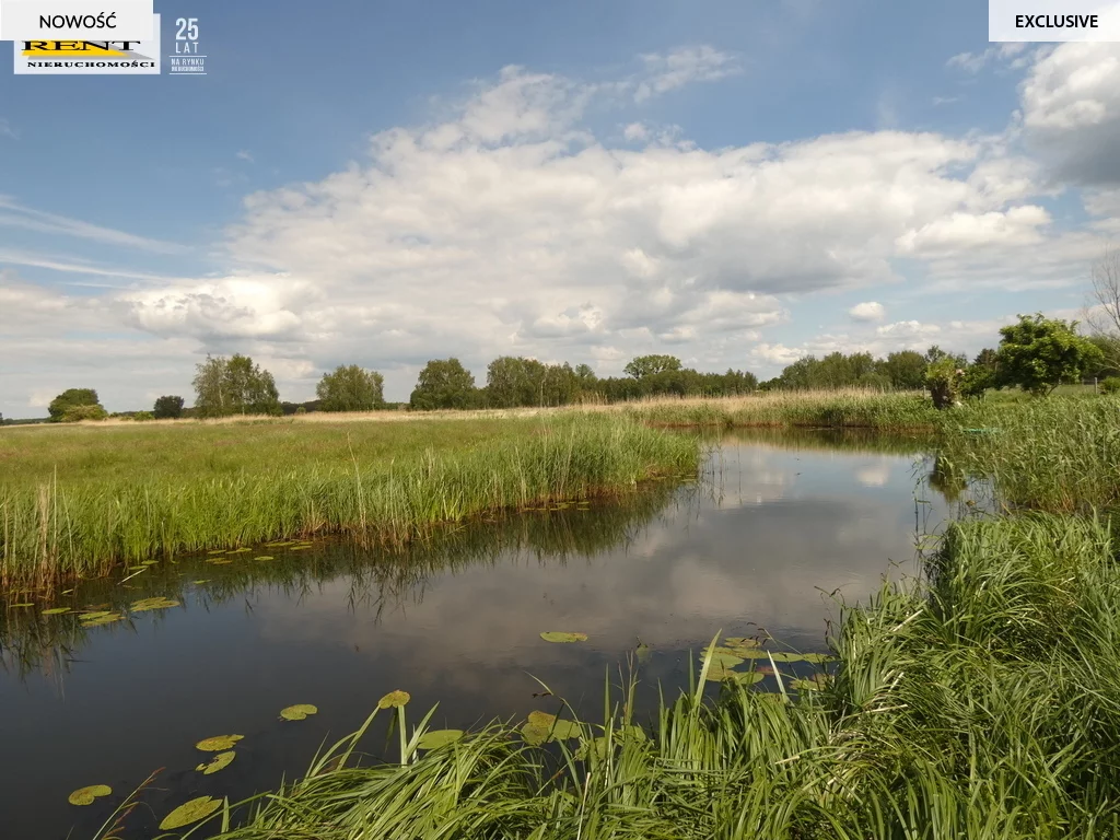 Działka 8 600,00 m², Stepniczka, Barnima II, Sprzedaż