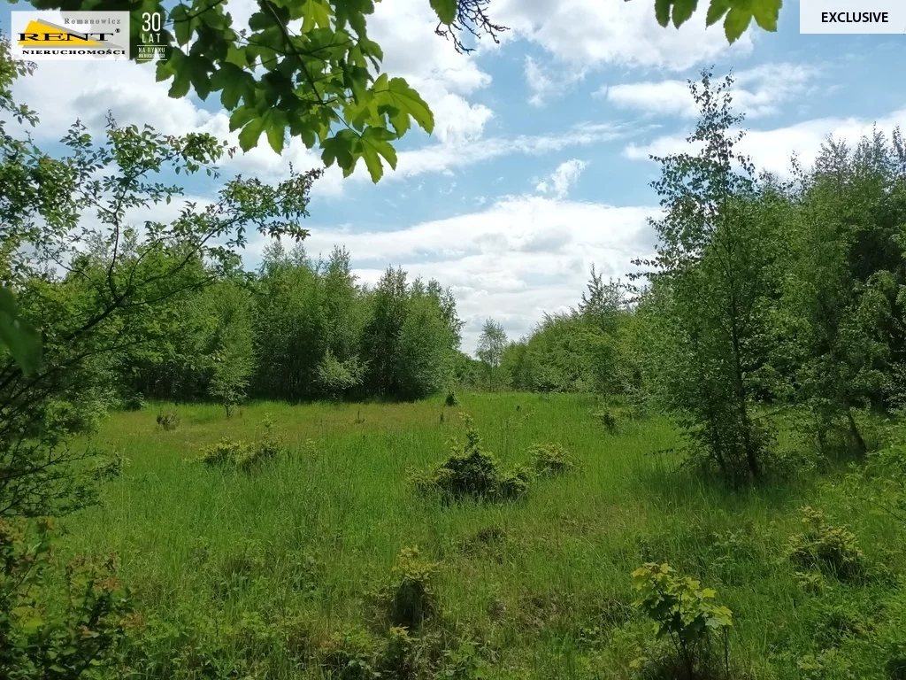 Działka 11 614,00 m², oferta nr , 3665/7376/OGS, Binowo