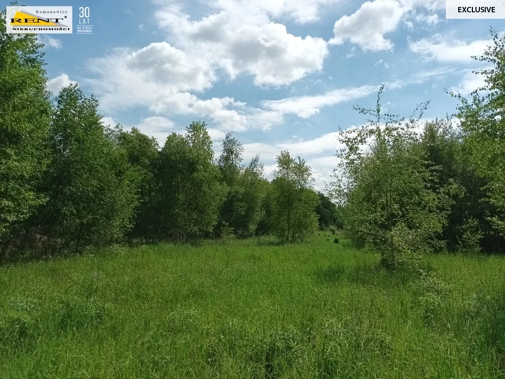 Działka 11 614,00 m², oferta nr , 3665/7376/OGS, Binowo