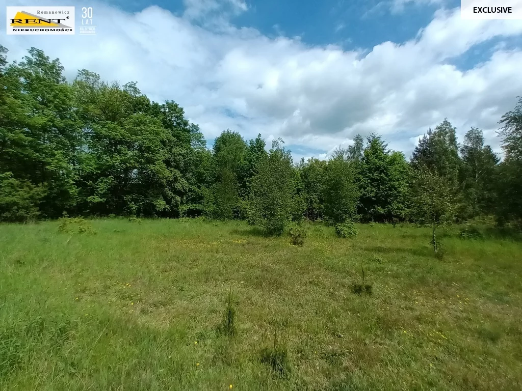 Działka 11 614,00 m², oferta nr , 3665/7376/OGS, Binowo
