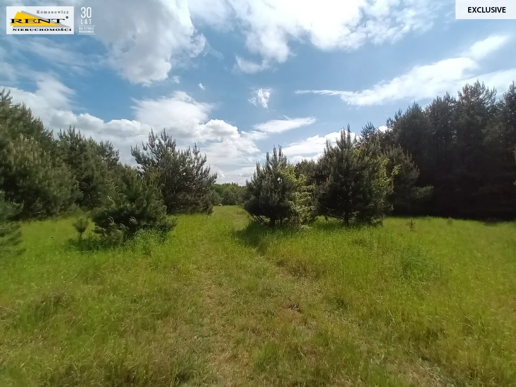 Działka 42 950,00 m², oferta nr , 3701/7376/OGS, Binowo
