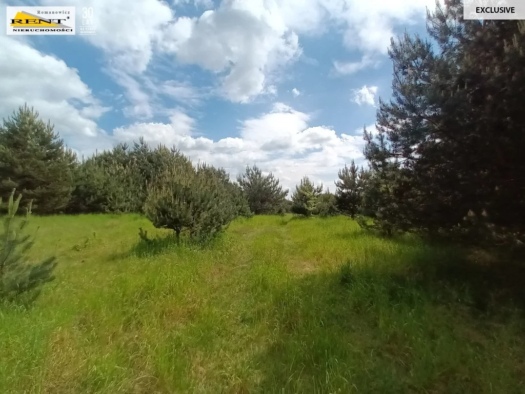 Działka 42 950,00 m², oferta nr , 3701/7376/OGS, Binowo