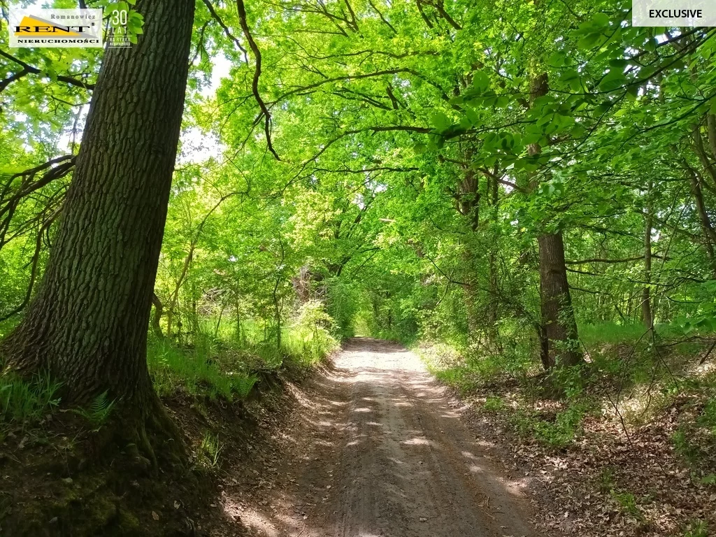 Działka 42 950,00 m², oferta nr , 3701/7376/OGS, Binowo