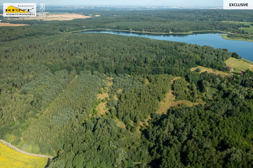 Działka 42 950,00 m², oferta nr , 3753/7376/OGS, Binowo