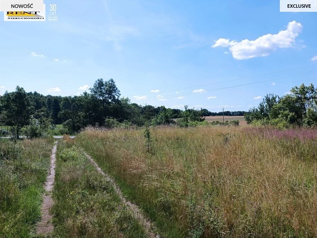 Działka 1 613,00 m², oferta nr , 3429/7376/OGS, Breń