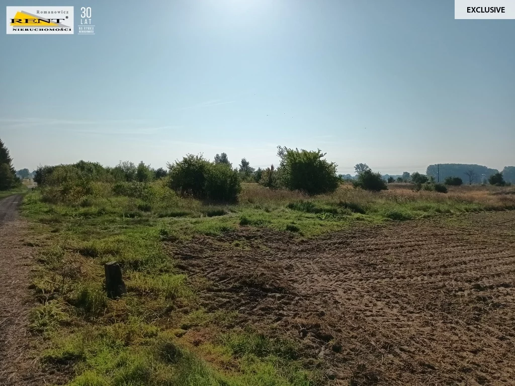 Działka 3 998,00 m², oferta nr , 3684/7376/OGS, Chabowo