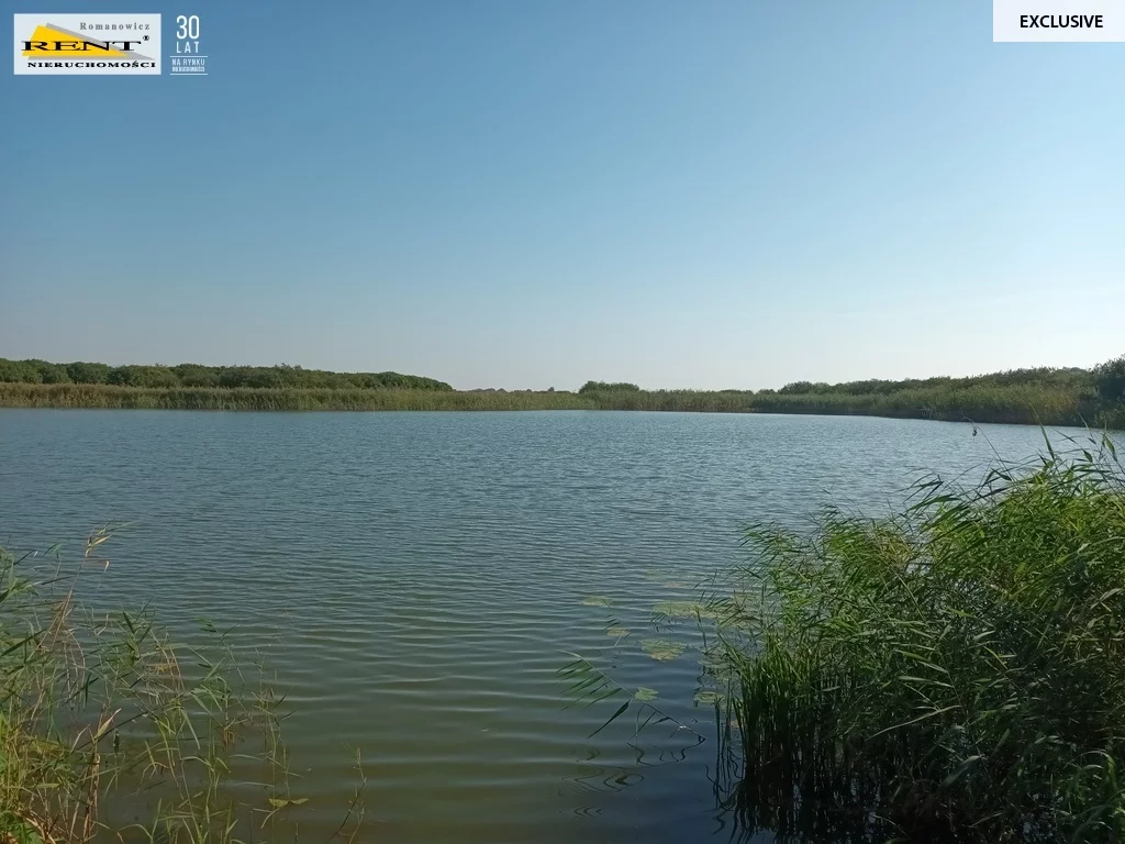 Działka 3 998,00 m², oferta nr , 3684/7376/OGS, Chabowo