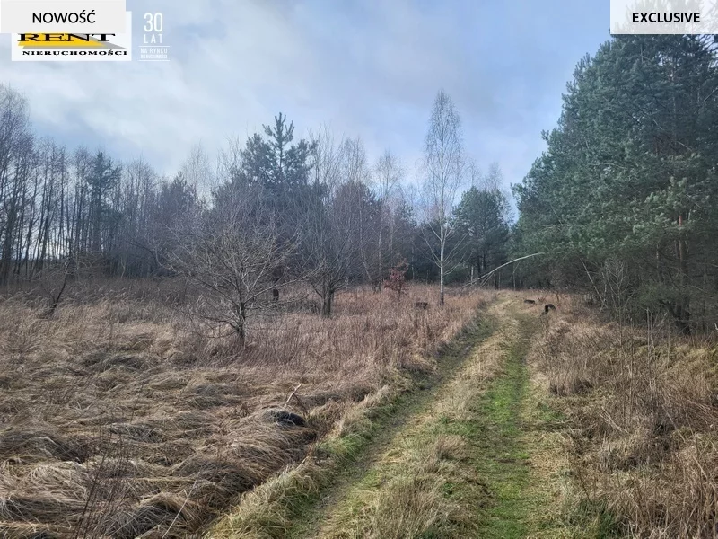 Działka 950,00 m², oferta nr , 3685/7376/OGS, Chłopowo