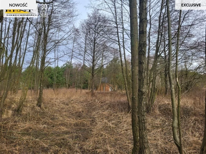 Działka 950,00 m², oferta nr , 3685/7376/OGS, Chłopowo