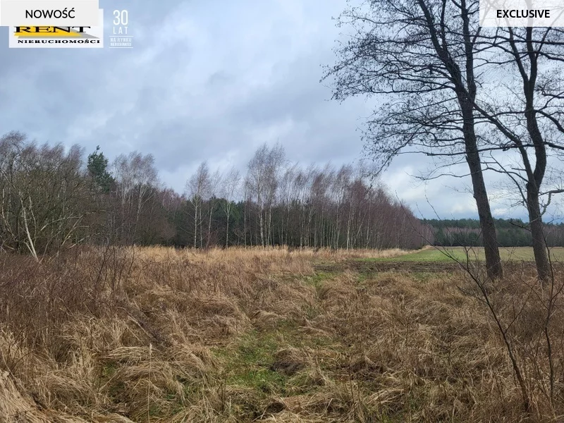 Działka 950,00 m², oferta nr , 3685/7376/OGS, Chłopowo
