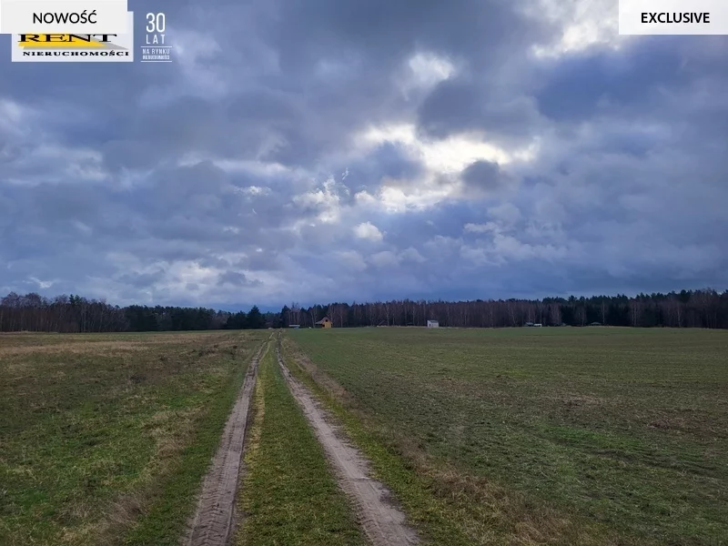 Działka 950,00 m², oferta nr , 3685/7376/OGS, Chłopowo