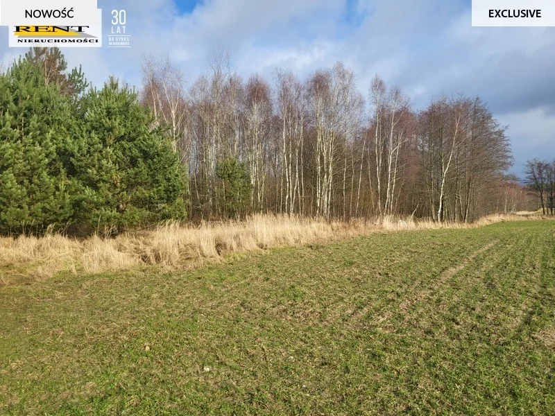 Apartamenty 3758/7376/OGS Chłopowo