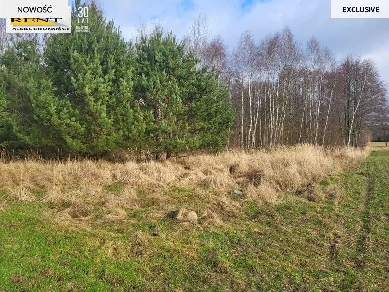 Działka 950,00 m², oferta nr , 3758/7376/OGS, Chłopowo