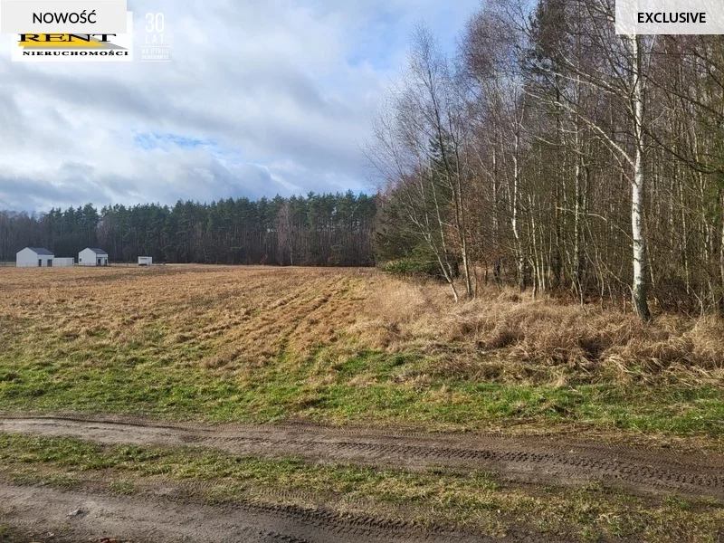 Działka 950,00 m², oferta nr , 3758/7376/OGS, Chłopowo
