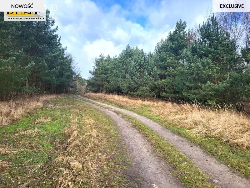 Działka 950,00 m², oferta nr , 3758/7376/OGS, Chłopowo