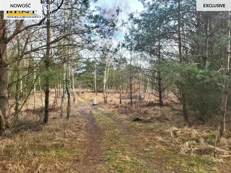 Działka 950,00 m², oferta nr , 3758/7376/OGS, Chłopowo