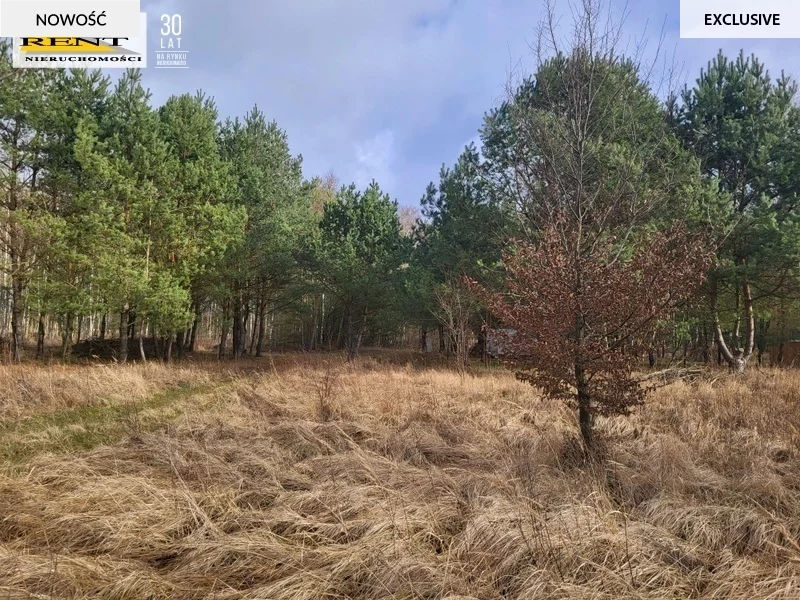 Działka 950,00 m², oferta nr , 3758/7376/OGS, Chłopowo