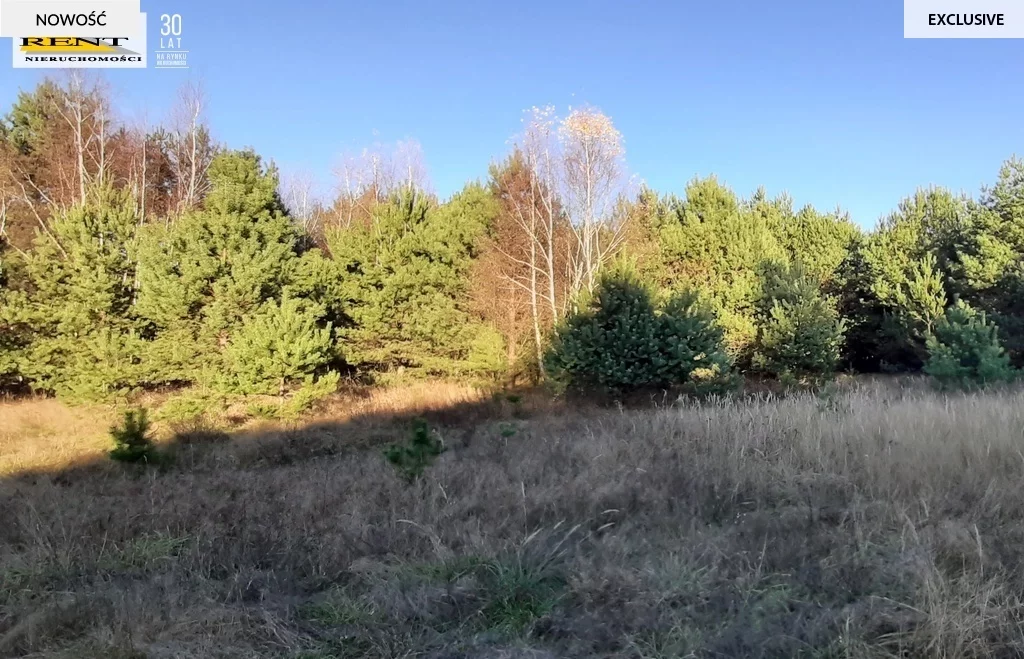 Działka 3 084,00 m², oferta nr , 3434/7376/OGS, Chociwel