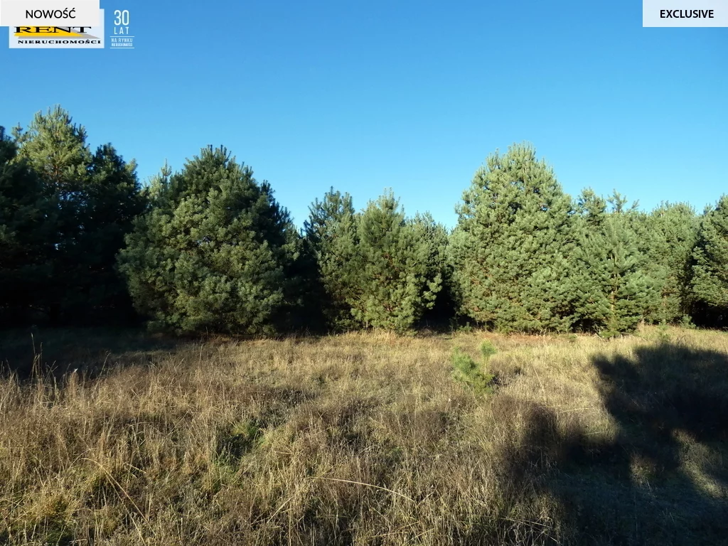 Działka 3 084,00 m², oferta nr , 3434/7376/OGS, Chociwel