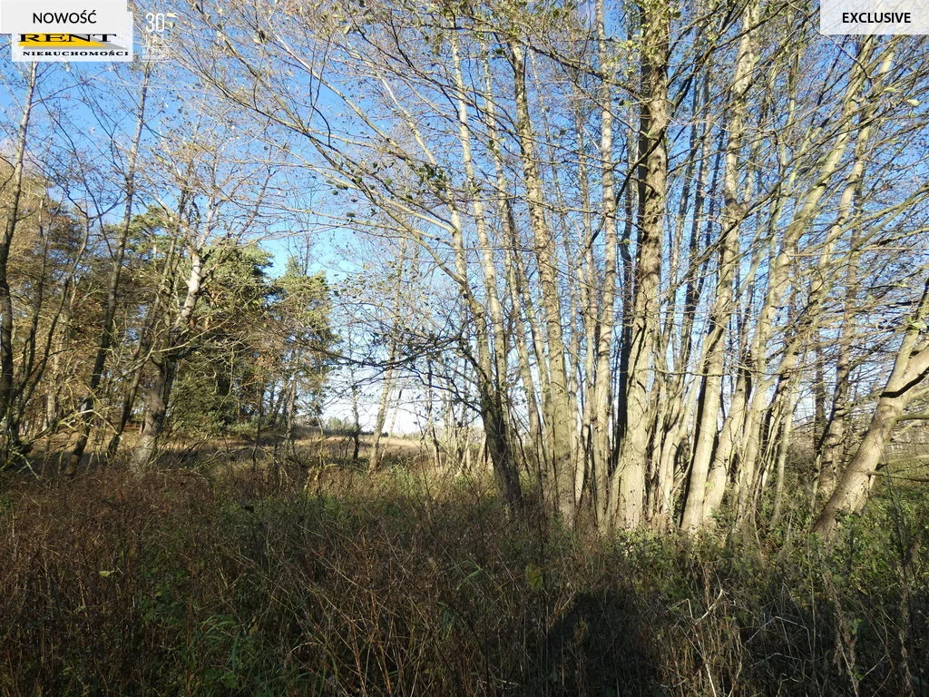 Działka 3 084,00 m², oferta nr , 3434/7376/OGS, Chociwel