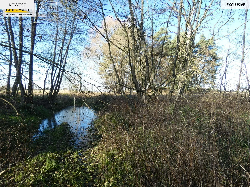 Działka 3 084,00 m², oferta nr , 3434/7376/OGS, Chociwel