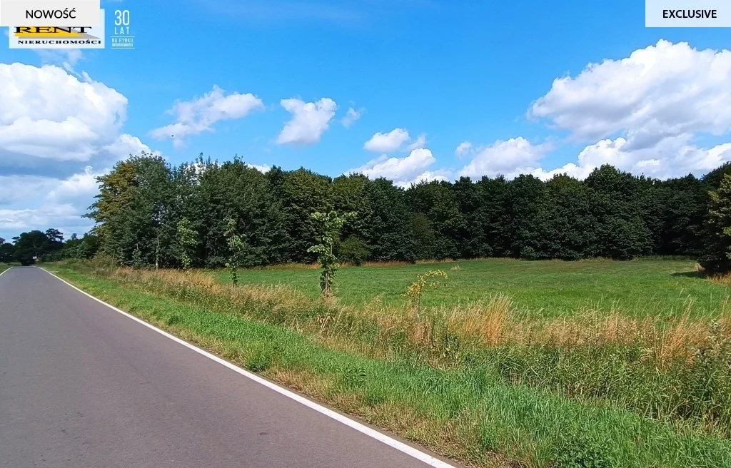 Działka 1 250,00 m², oferta nr , 3475/7376/OGS, Dębice