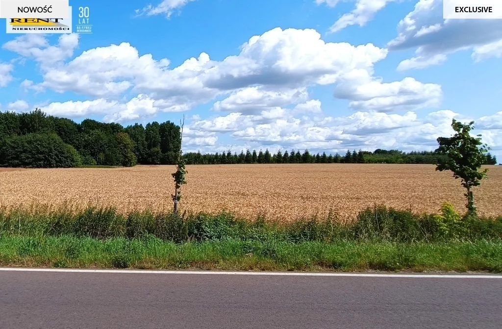 Działka 1 250,00 m², oferta nr , 3571/7376/OGS, Goleniów