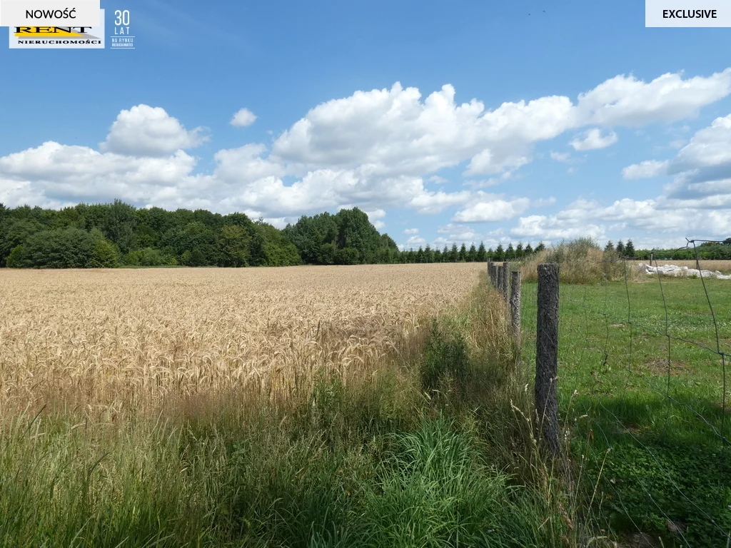 Działka 1 250,00 m², oferta nr , 3571/7376/OGS, Goleniów