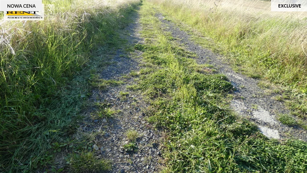 Działka 3 088,00 m², oferta nr , 3696/7376/OGS, Kamieniec