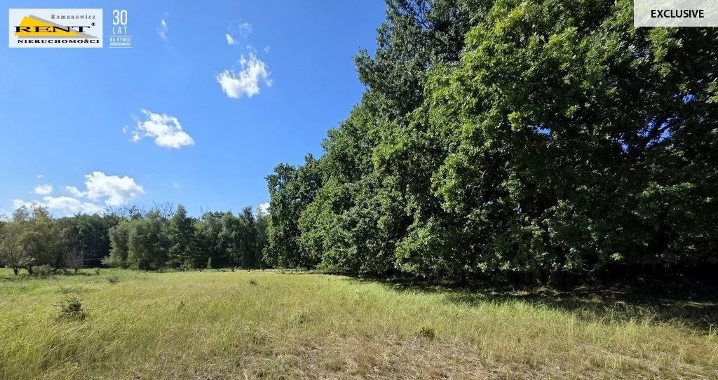 Działka 7 638,00 m², oferta nr , 3749/7376/OGS, Kopice