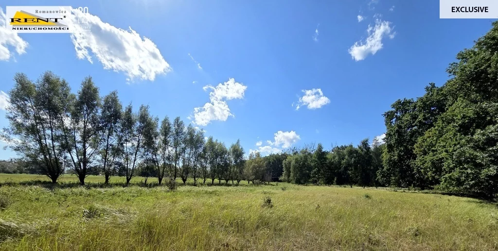 Działka 7 638,00 m², oferta nr , 3749/7376/OGS, Kopice