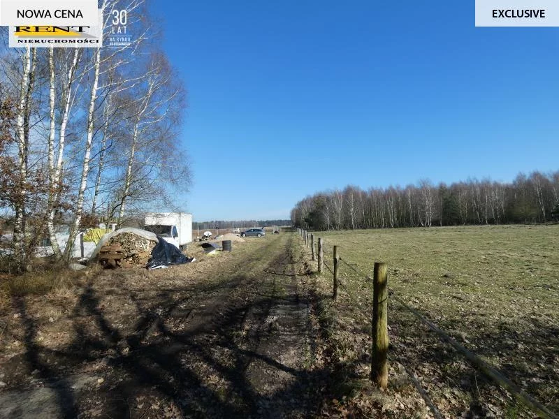 Działka 3 296,00 m², oferta nr , 3705/7376/OGS, Krzywice