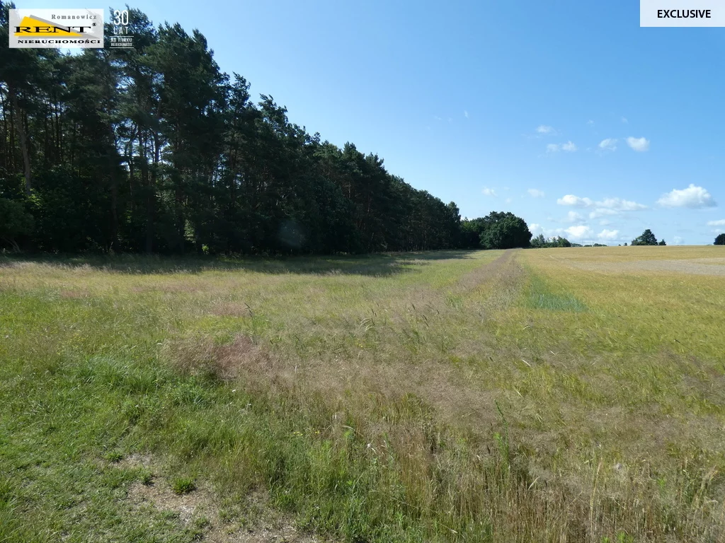 Działka 5 982,00 m², Motaniec, Sprzedaż