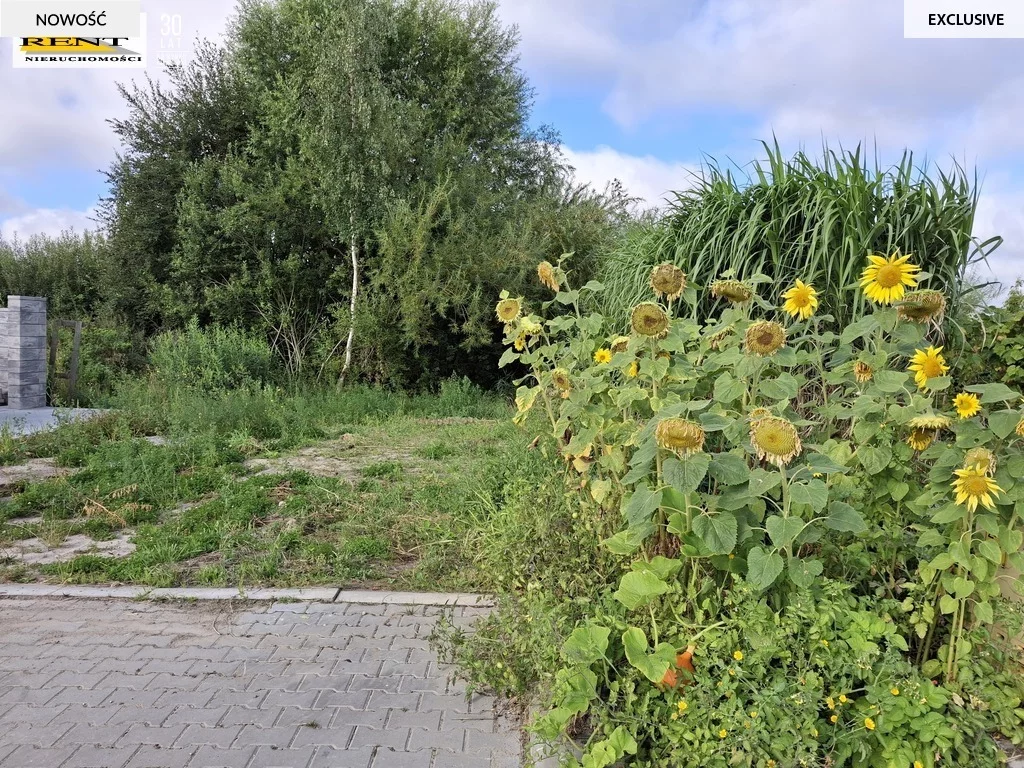 Apartamenty 3751/7376/OGS Mierzyn Orfeusza