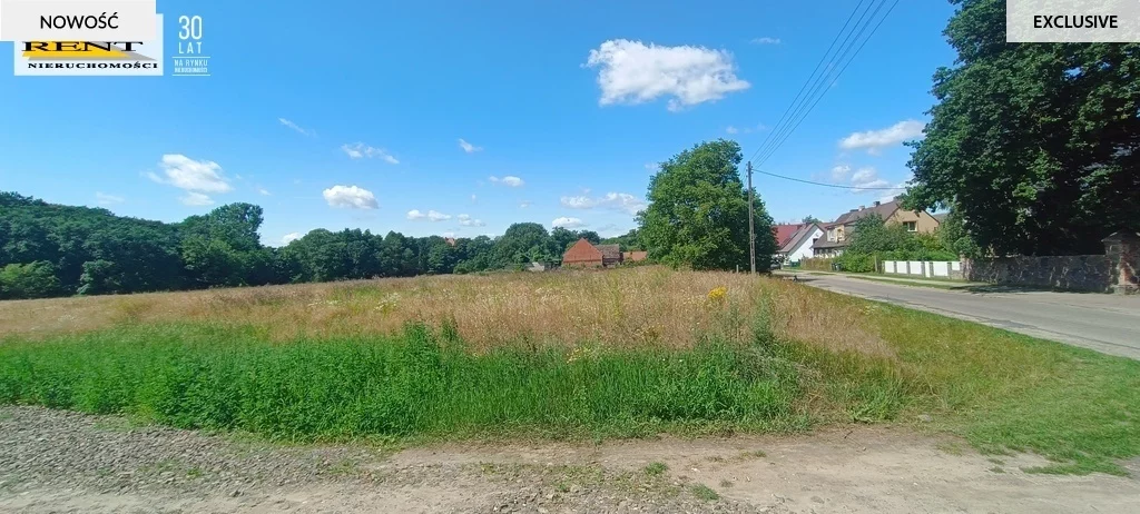 3736/7376/OGS - zdjęcie nr 0