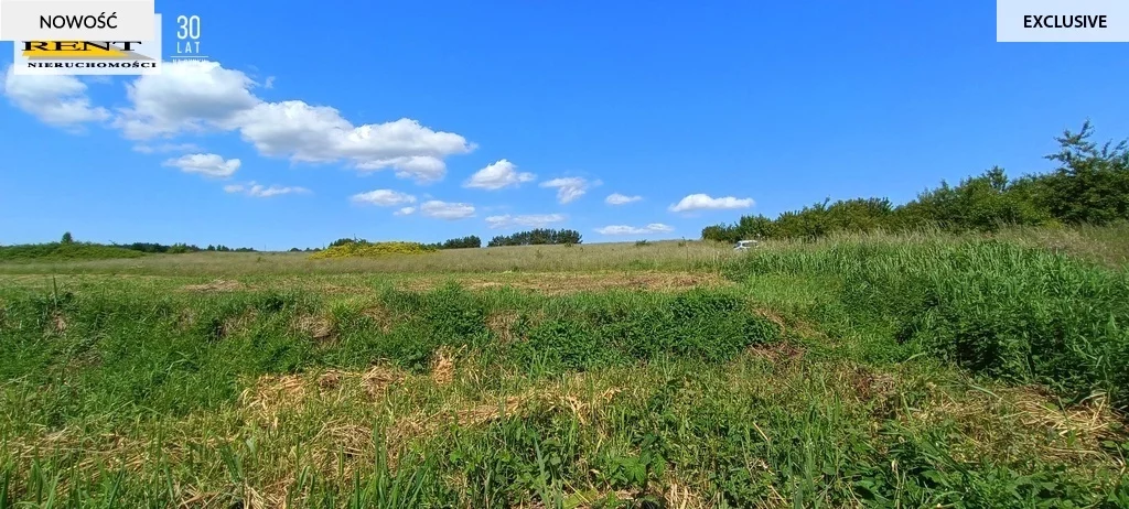 Działka 3 648,00 m², oferta nr , 3730/7376/OGS, Płocin